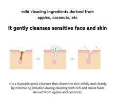 MODOOBAREUN Facial Foam